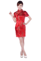 Chinese Dress (Hire Only)
